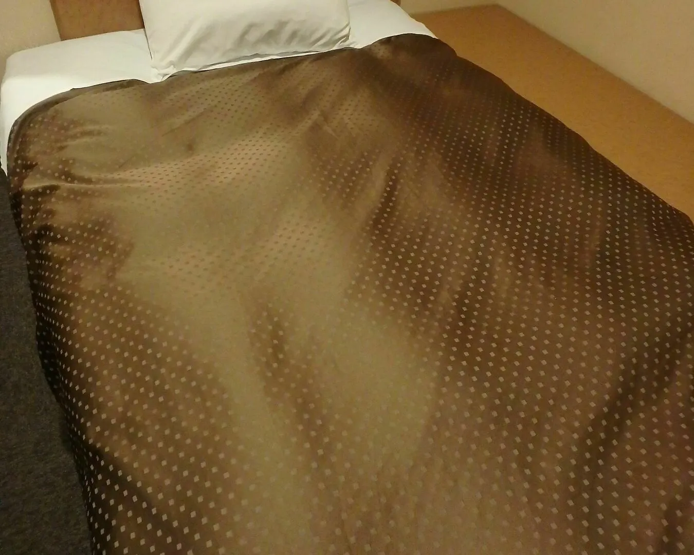 Hotel New Park 東京都
